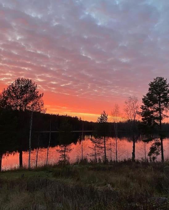 Villa Tuikkula Sotkamo Eksteriør bilde